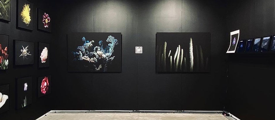 Miglior Stand ad Art Cologne in Germania