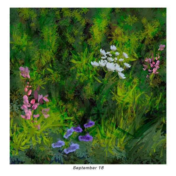 Yuri-Catania-September-18-Day-Flowers