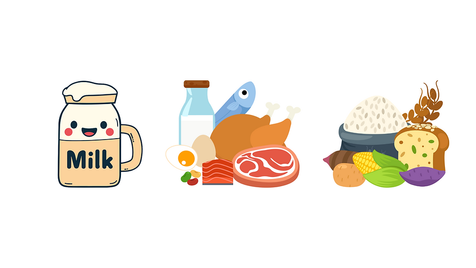 Enzymes 101: Breaking it down for your gut. Source: Gut Health Guru