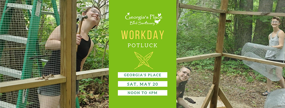 May 2023 Workday Potluck