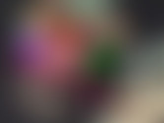 Online Brain Training for Seniors