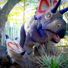 Dinosaur Company Tour