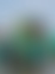 Ben dan Chasif : Mengukir Jejak Dalam Pelestarian Lingkungan