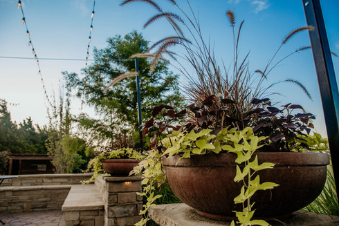 Seasonal Services by Red Valley Landscape & Construction in Austin, Texas