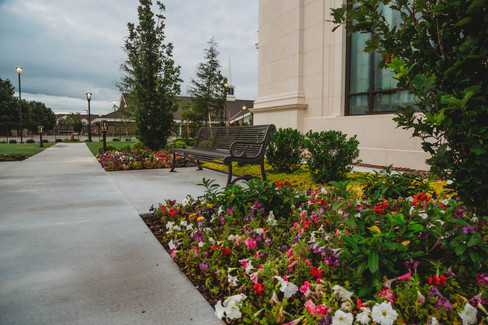 Commercial Seasonal Services by Red Valley Landscape & Construction in ATX