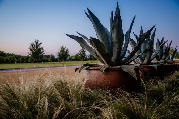 Seasonal Services by Red Valley Landscape & Construction in North Austin, Texas