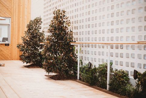 Commercial Landscape by Red Valley Landscape & Construction located in Austin, Texas