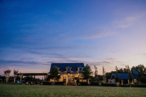 Commercial Landscape Lighting by Red Valley Landscape & Construction in North Austin