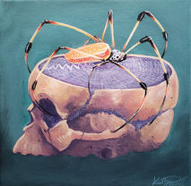 Giant spider on skull; Personal Art by katpowellartist