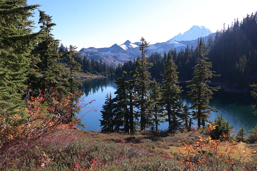 Mountain Lake View