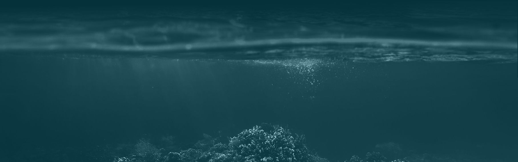 underwater---bg2.jpg