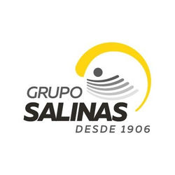 GRUPO SALINAS