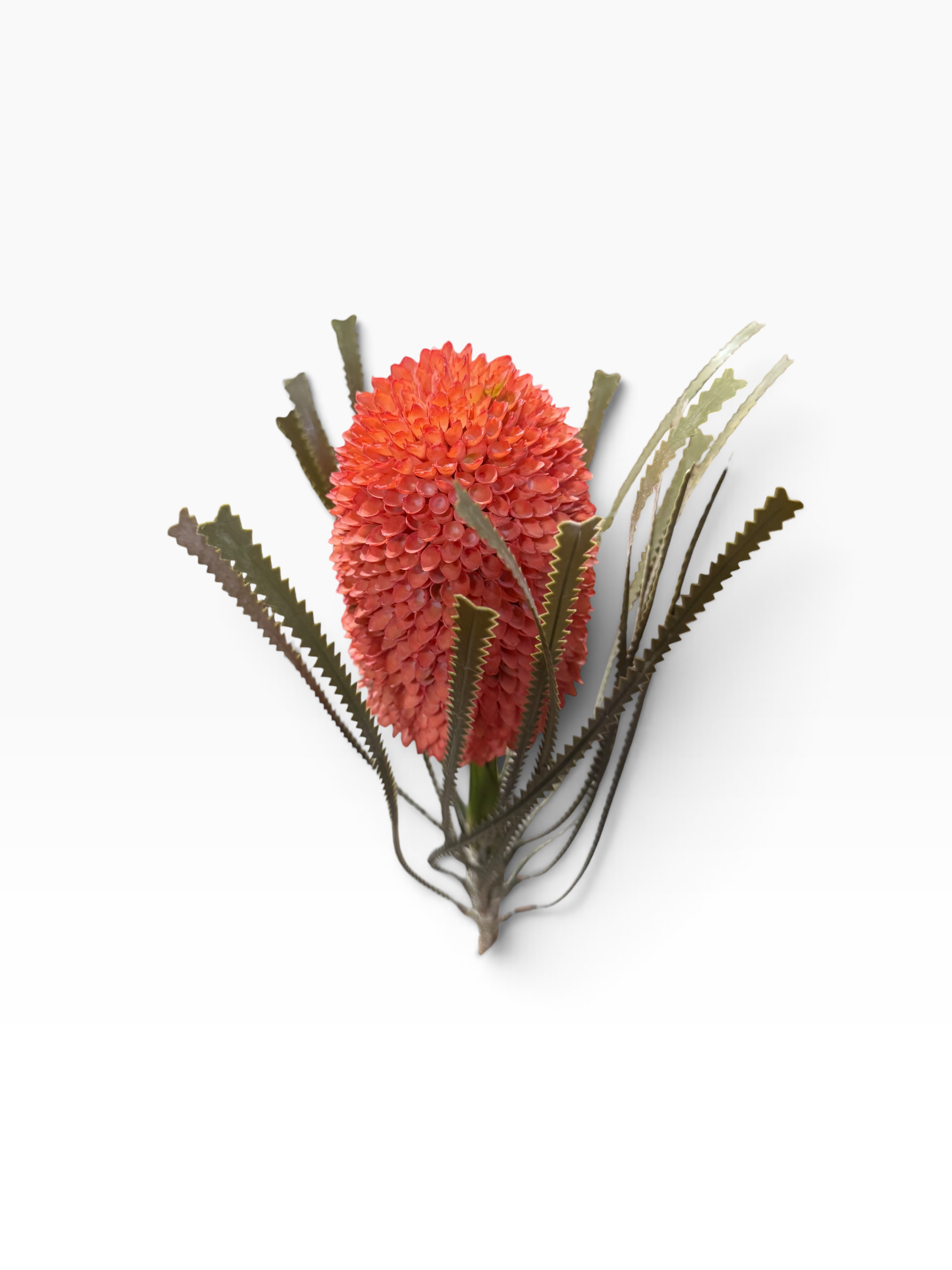 BANKSIA SPRAY PICK