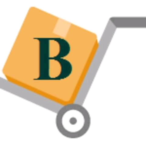 Writer: BridgerStores 