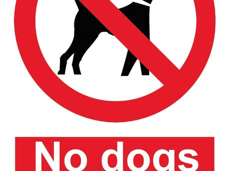 NO DOGS ALLOWED ON SCHOOL PREMISES