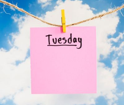 TUESDAY NIGHT SWIMMERS