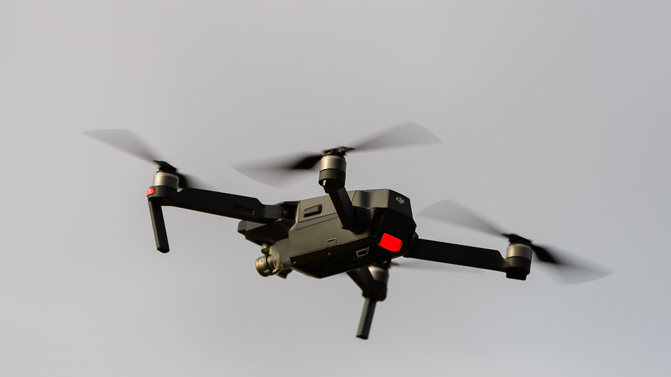 Untitled design (81).png