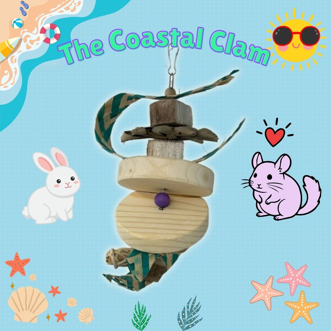 The Coastal Clam - Chew toy for small pets