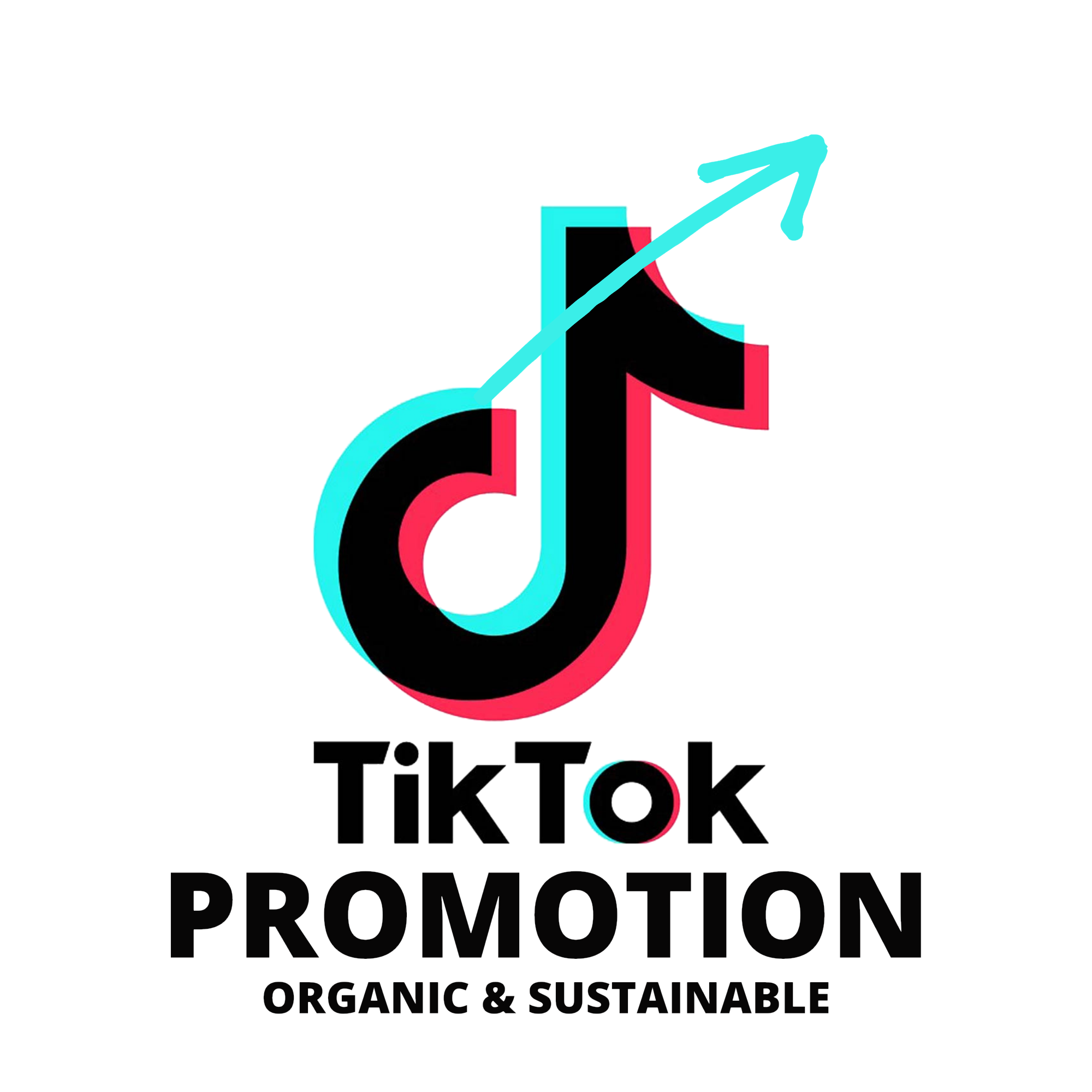 Tiktok Promotion Toby Webster Agency