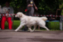 image1.jpeg