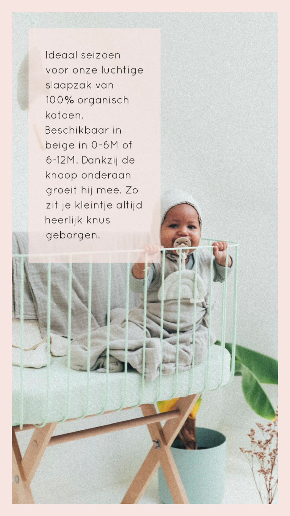 Miniature : Gigoteuse d'été