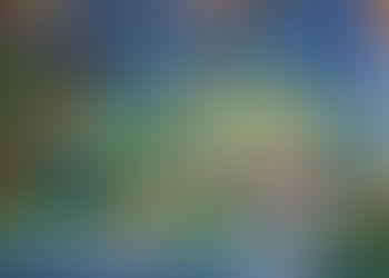 solidarity with autistics in therapy-mutual accompaniment