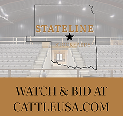 WATCH & BID AT CATTLEUSA.COM.png