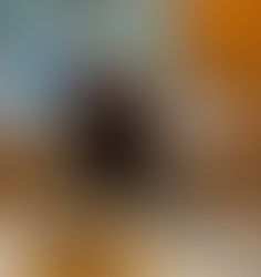 Parashat Vayshev & Chanukah - Your Light Within