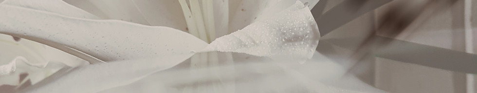 Hautauspalvelut Henriikka Oy palvelee si