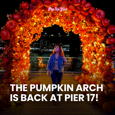 Pumpkin Arch 2025