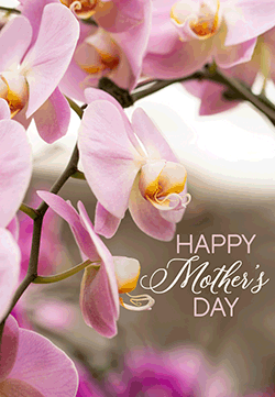 Mother's Day 5.9.21.gif