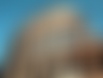 Explore Rome with Private Tour Options