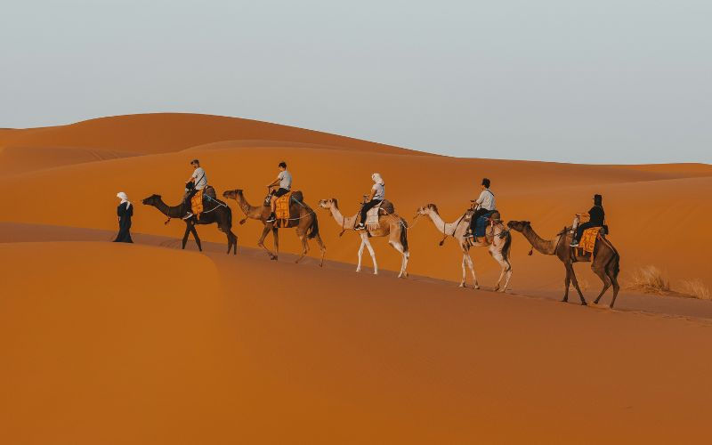 camel ride dubai desert safari