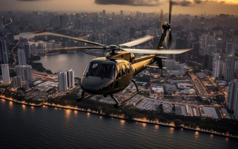 Helicopter Expedition