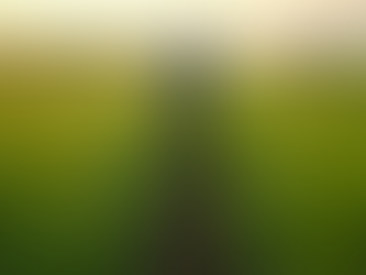 Understanding the Role of Financial Inclusion in Economic Growth