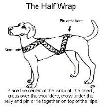 Dog body best sale bandage