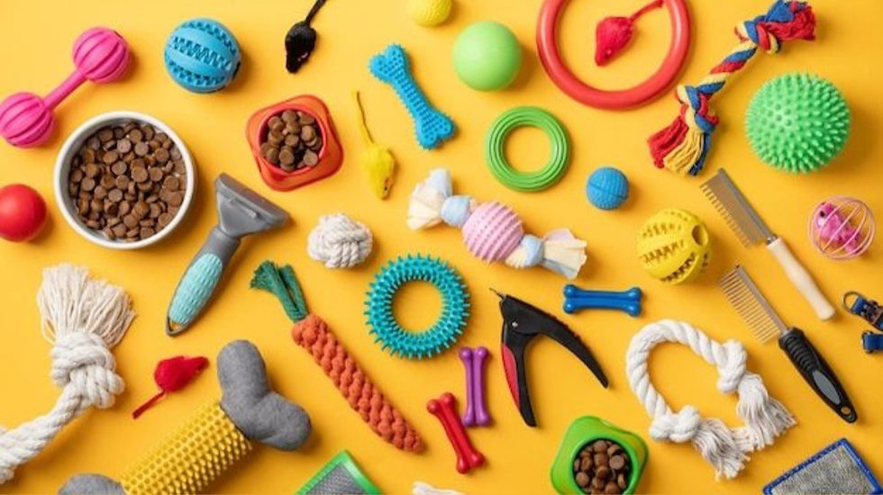 Pet toys and grooming tools scattered on a yellow background. Includes balls, bones, a rope, and a bowl of kibble in colorful designs.