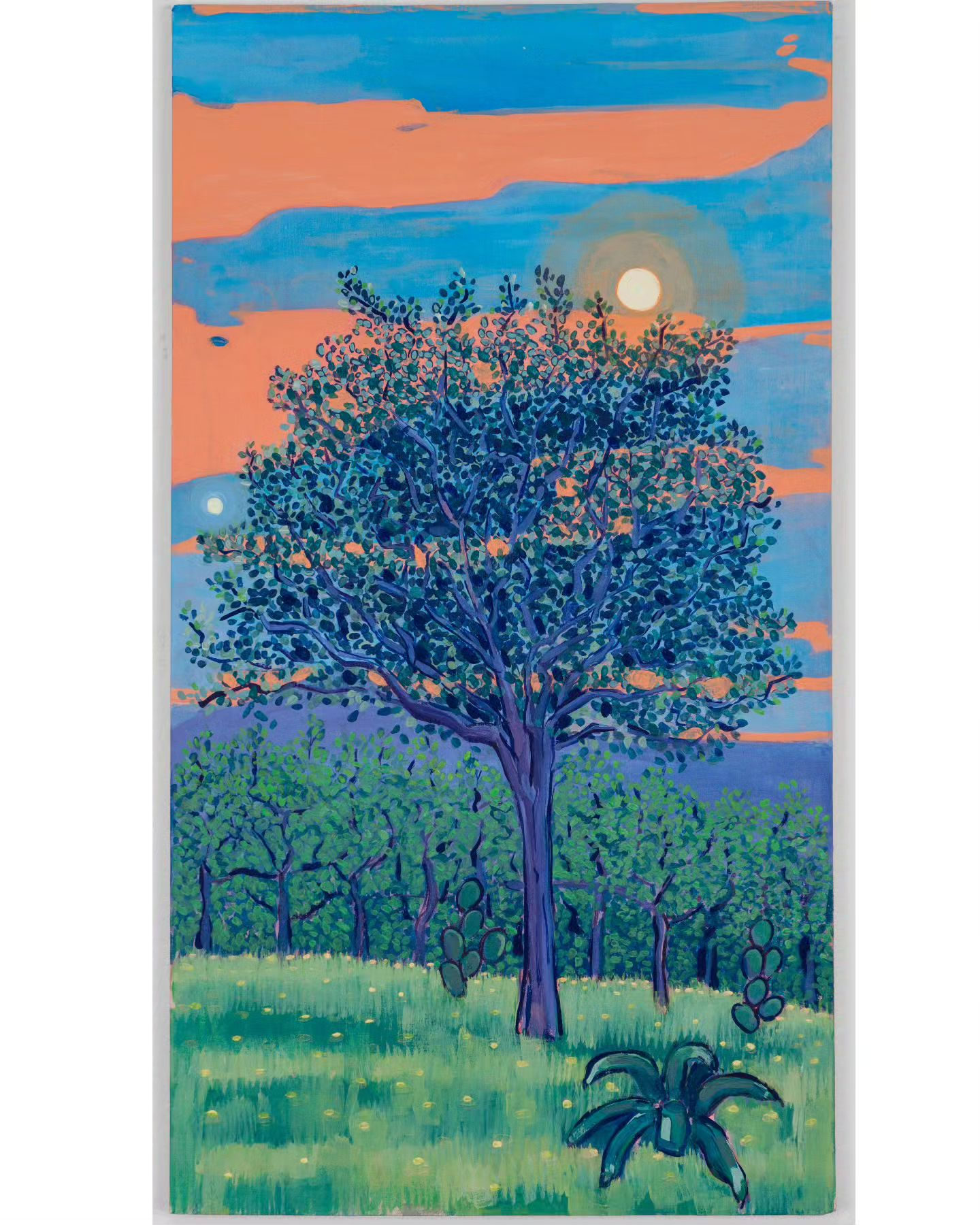 Naturaleza del semidesierto