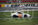 Gareis shows speed at Charlotte
