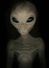 4cdf5441cf35dfbd05bb49c186ab01eb.gif