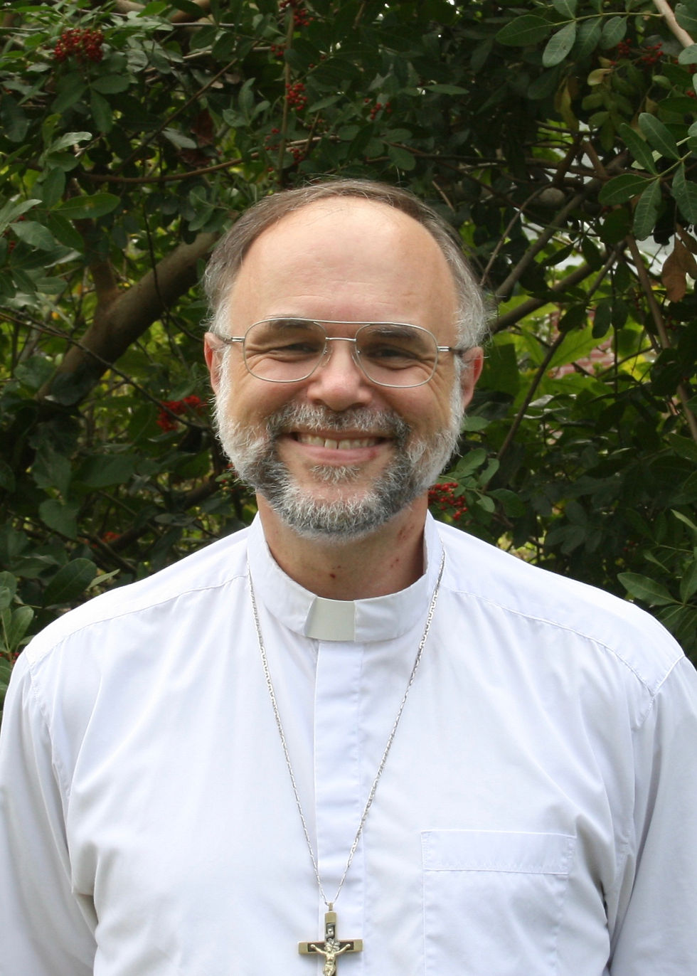 Fr. Paul Head