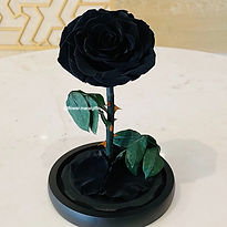 Black Forever roses Preserved Roses Black big size forever