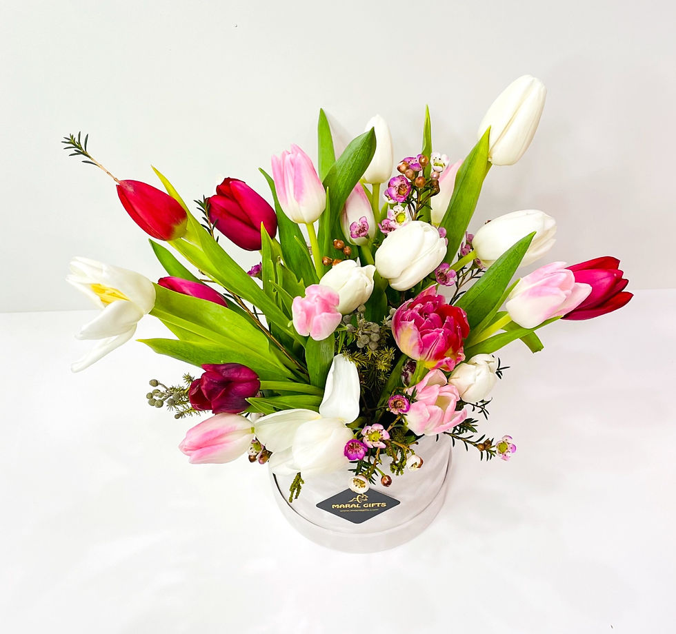 Tulip Flower box mix of Red pink and white tulip in a white velvet box