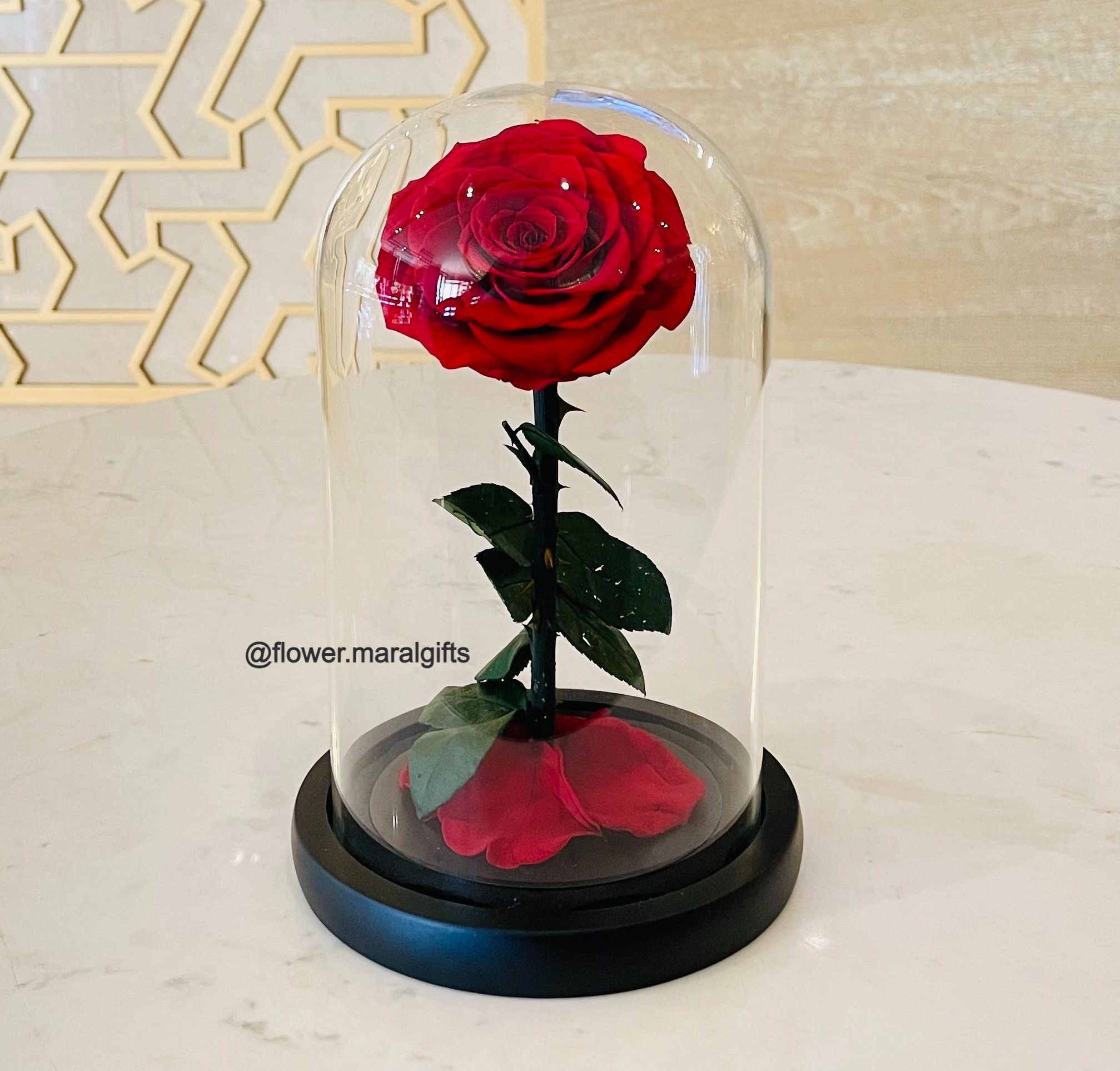 Red roses forever preserved single roses forever gifts roses in a glass