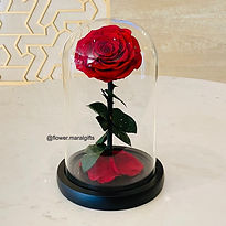 Red roses forever preserved single roses forever gifts roses in a glass
