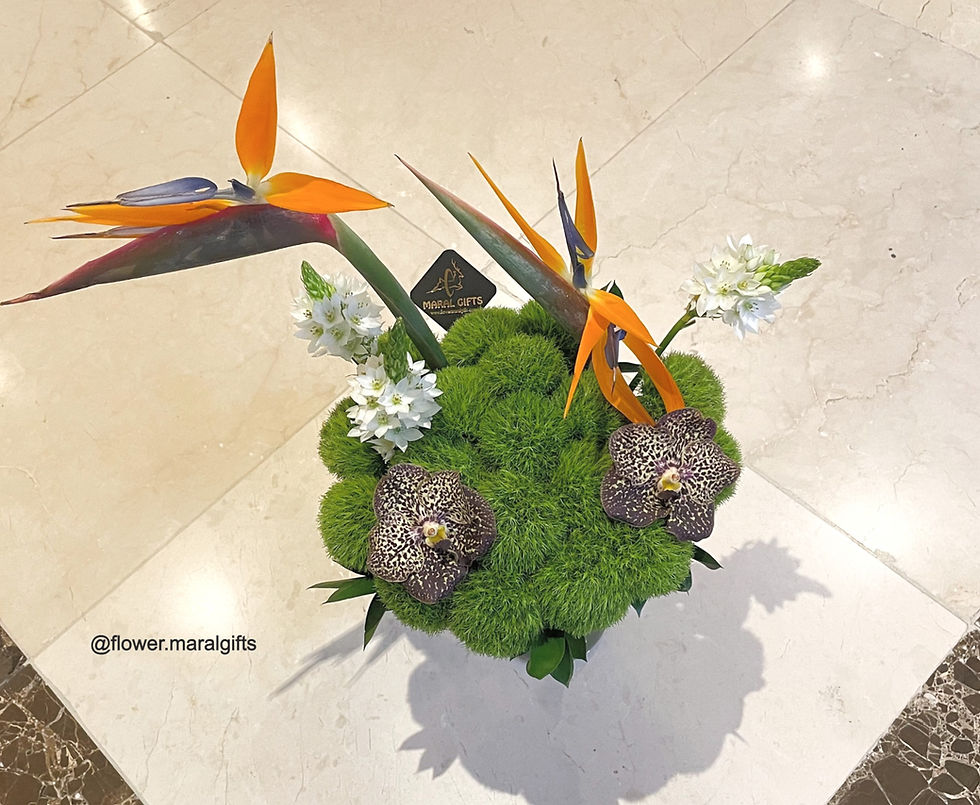 Combination Strelitziam birds of paradise in flower vase with combination vanda ocelote and ornithogalum flower vase