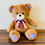 थंबनेल: Teddy Bear Brown And Purple Medium