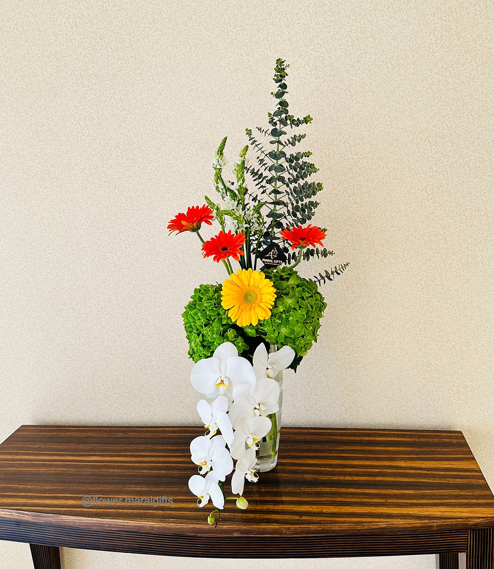 Orchid phalaenopsis with green hydrangea in a flower vase