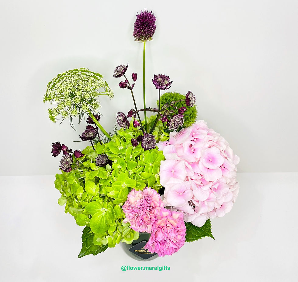 Astrantia Star with Allium Bullit and hydrangea green and pink in a vase