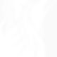 ChatGPT Image Apr 18, 2025, 06_16_45 PM_edited.jpg